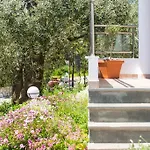 Apartament Olive Garden And