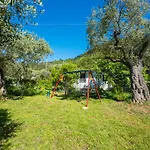 Apartament Olive Garden And