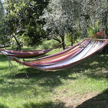 Appartement Olive Garden Villas