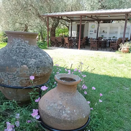 Lägenhet Olive Garden