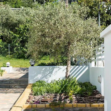 Olive Garden And Apartment Chrysi Ammoudia