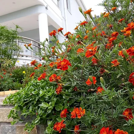 Olive Garden And * Chrisi Ammoudia