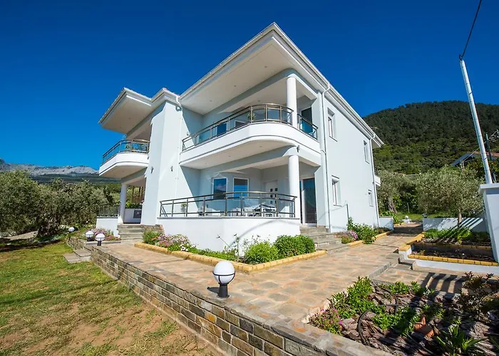 Olive Garden And * 克里斯阿穆迪亚